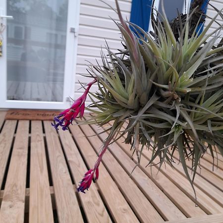 Bungalow Com Piscina Pataias Dış mekan fotoğraf